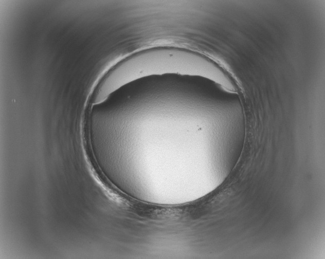 X0000064730991200603031637