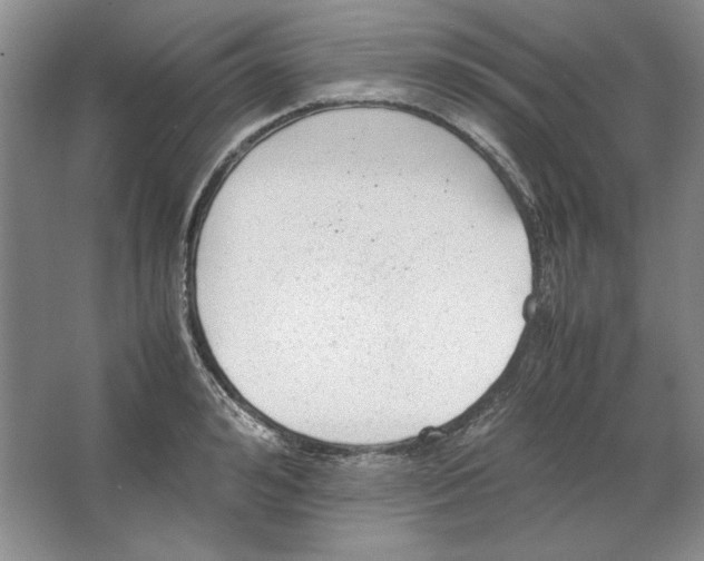 X0000064730992200603031637