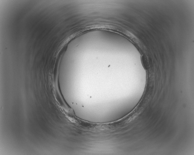 X0000064730993200603031637