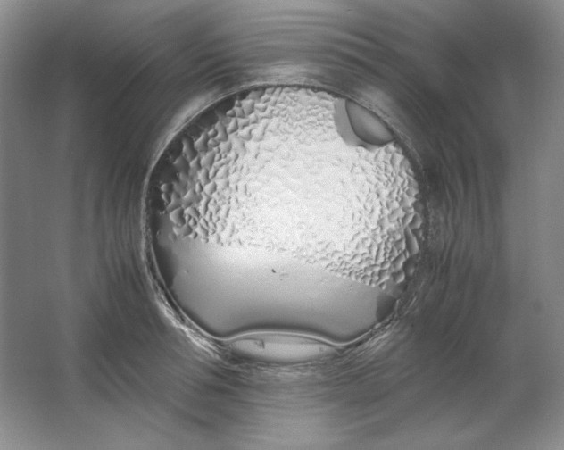 X0000064730994200603031637