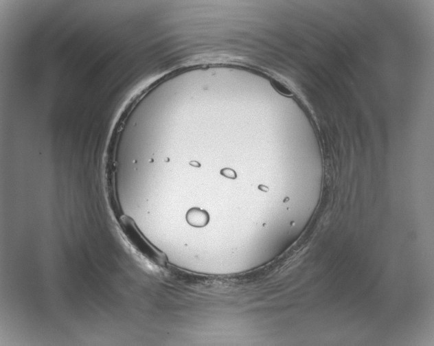 X0000064730995200603031637