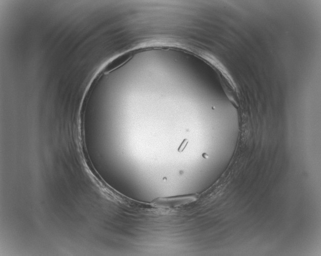 X0000064730996200603031637