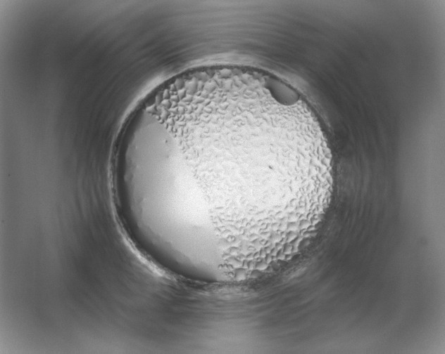 X0000064730998200603031637