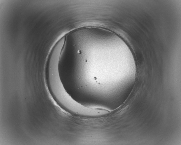 X0000064730999200603031637