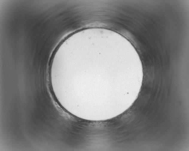 X0000064731000200603031637