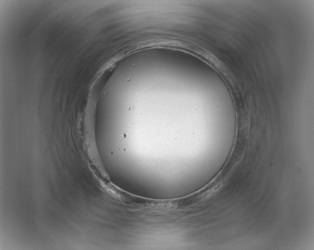 X0000064731001200603031637