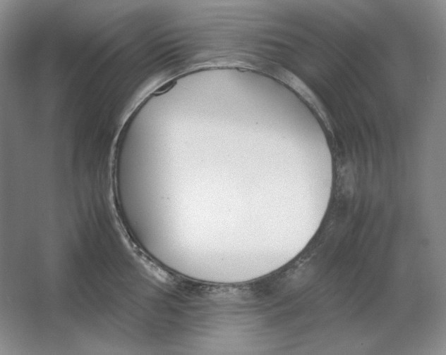 X0000064731002200603031637