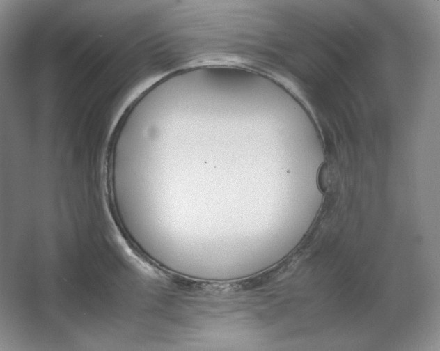 X0000064731003200603031637