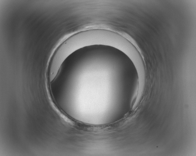 X0000064731005200603031637