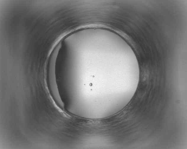 X0000064731006200603031637