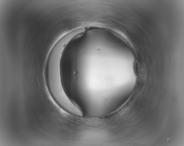 X0000064731007200603031637