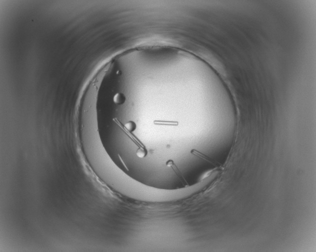 X0000064731008200603031637