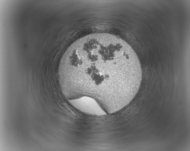 X0000064731009200603031636