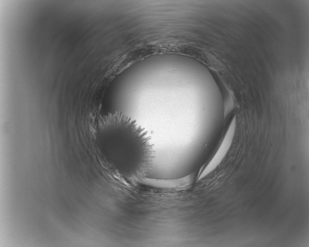 X0000064731010200603031636