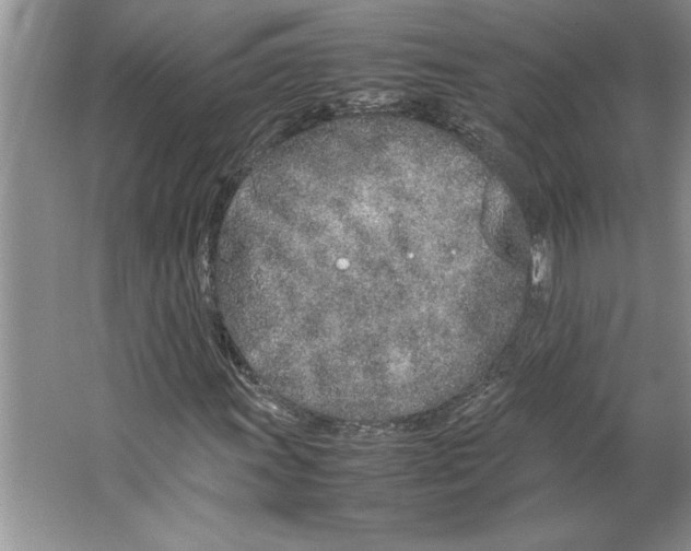 X0000064731011200603031636