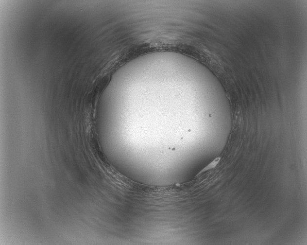 X0000064731012200603031636