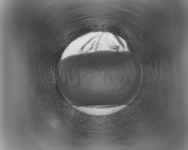 X0000064731013200603031636