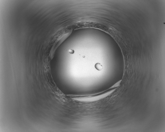 X0000064731014200603031636