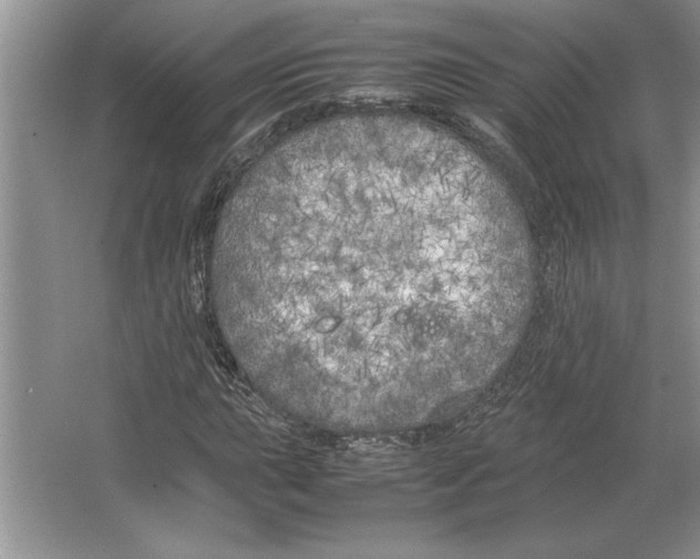 X0000064731015200603031636