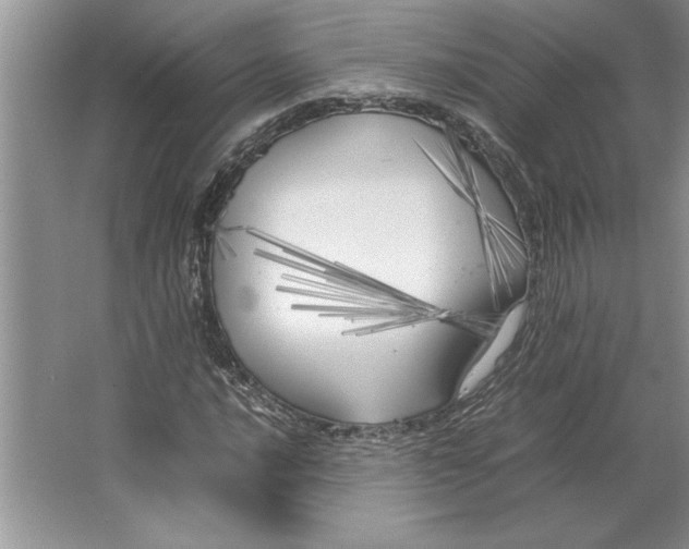 X0000064731016200603031636