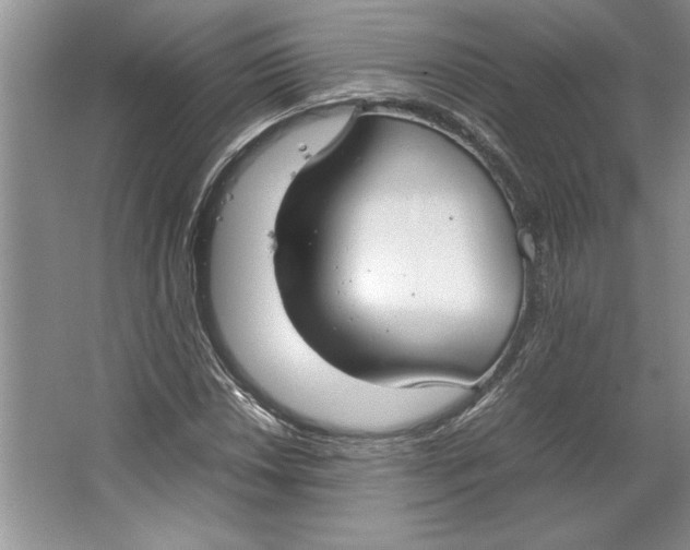 X0000064731018200603031636