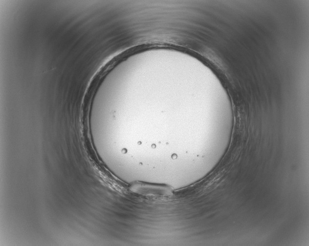 X0000064731020200603031636