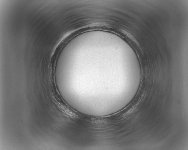 X0000064731021200603031636