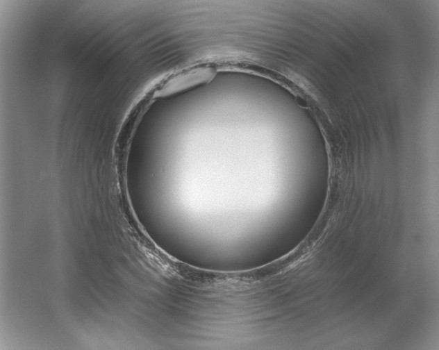 X0000064731022200603031636