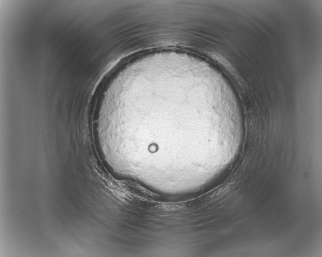 X0000064731023200603031636