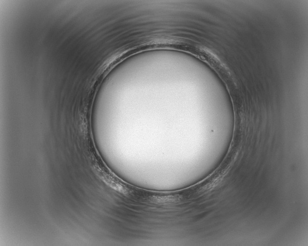 X0000064731025200603031636