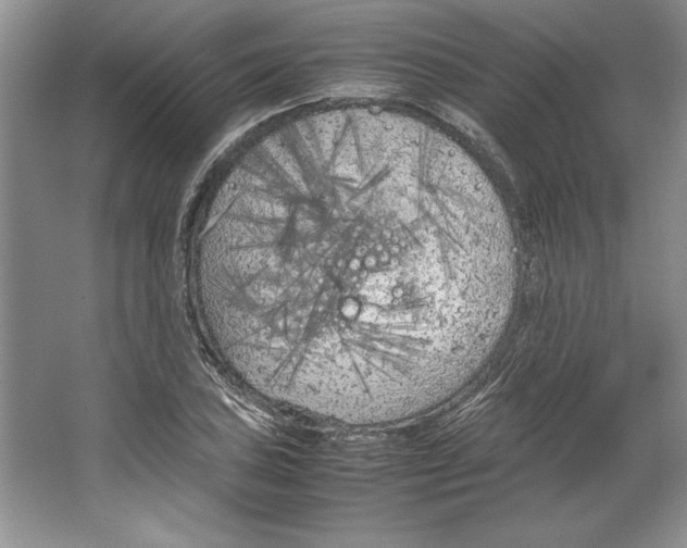 X0000064731027200603031636