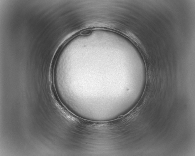 X0000064731028200603031636