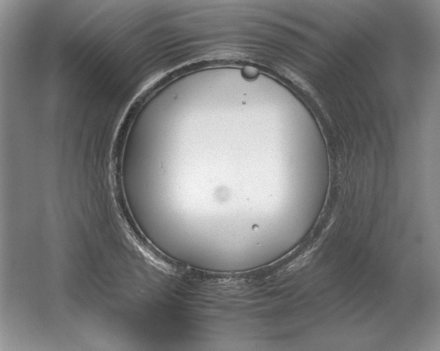 X0000064731029200603031636