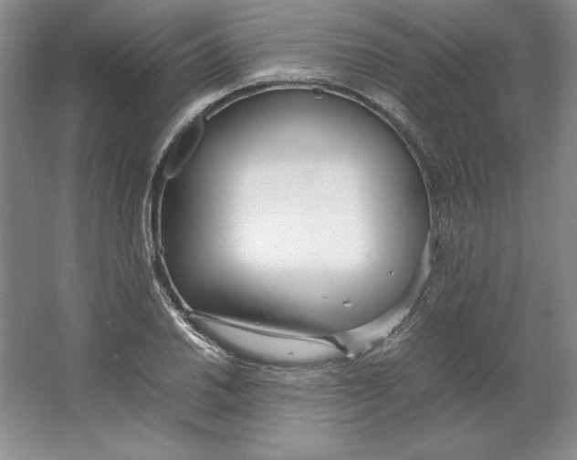 X0000064731030200603031636