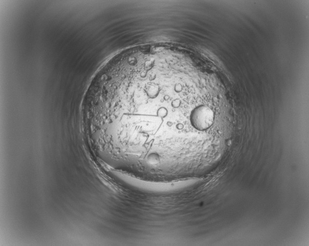 X0000064731031200603031636