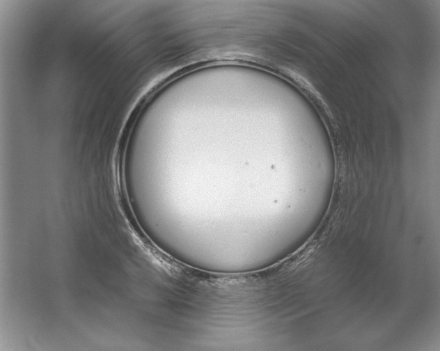 X0000064731032200603031636