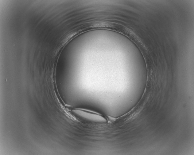 X0000064731033200603031636