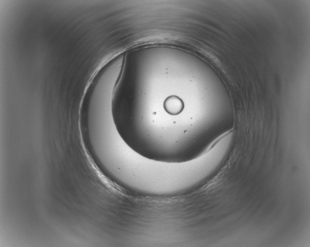 X0000064731034200603031636