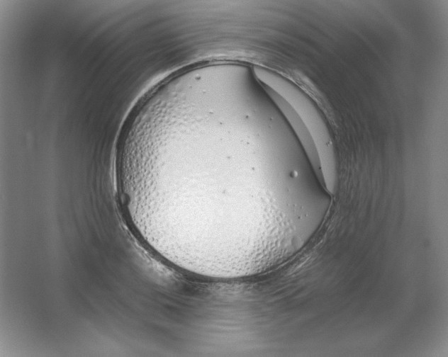 X0000064731036200603031636