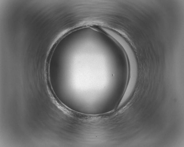 X0000064731038200603031636