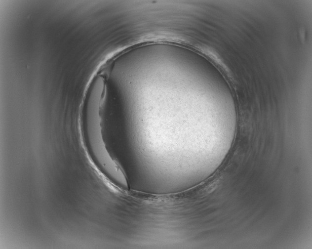 X0000064731040200603031636