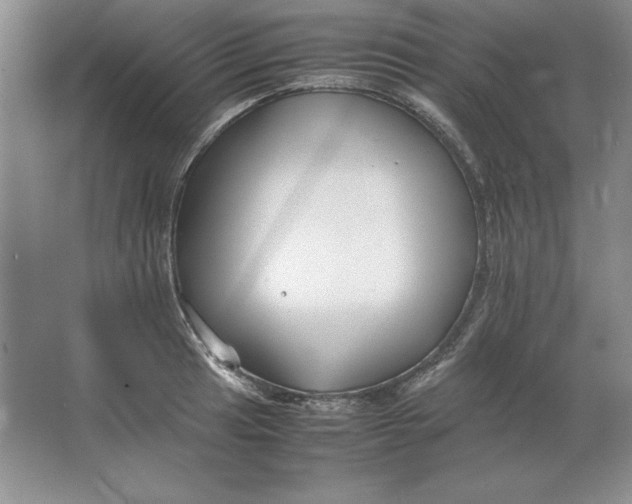 X0000064731041200603031636