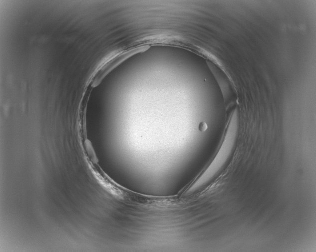 X0000064731042200603031636