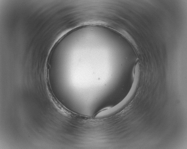 X0000064731044200603031636