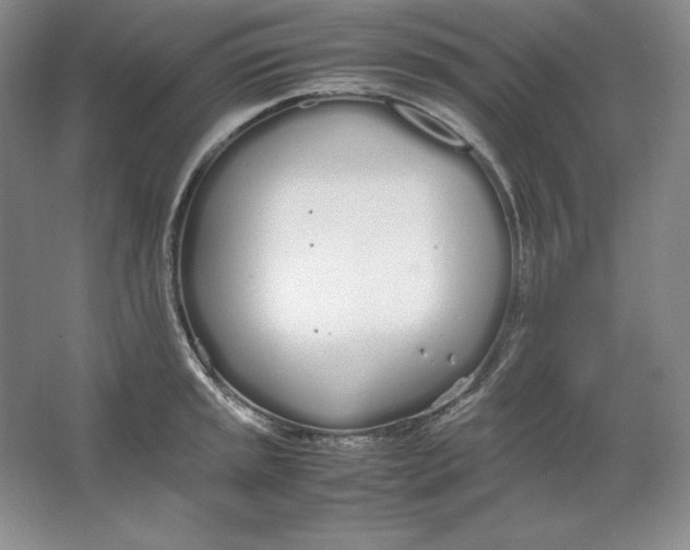 X0000064731045200603031636