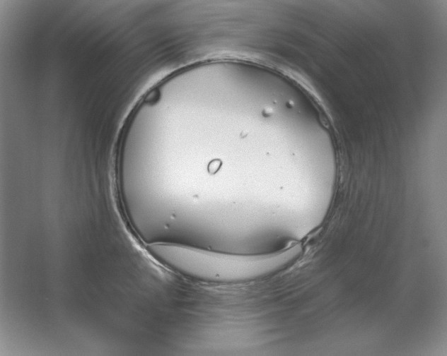 X0000064731048200603031636