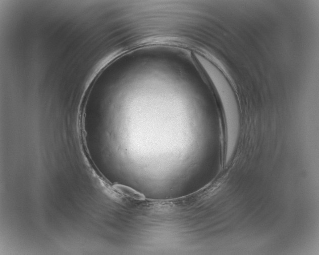 X0000064731050200603031636