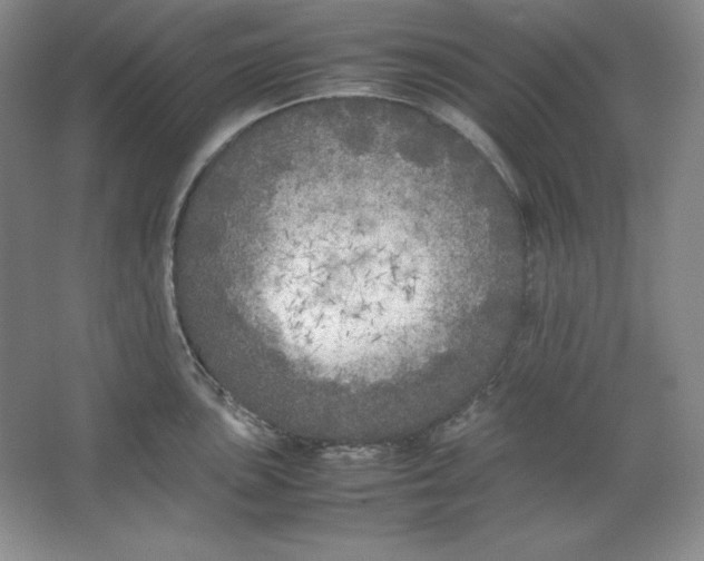 X0000064731051200603031636