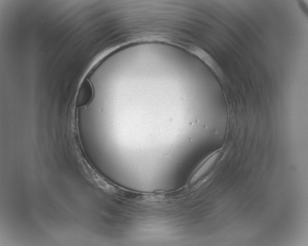 X0000064731052200603031636