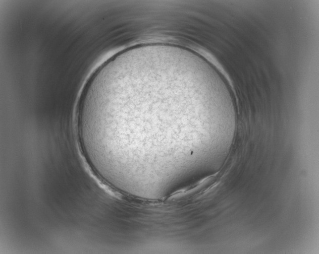 X0000064731053200603031637